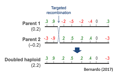 Targeted Recombination